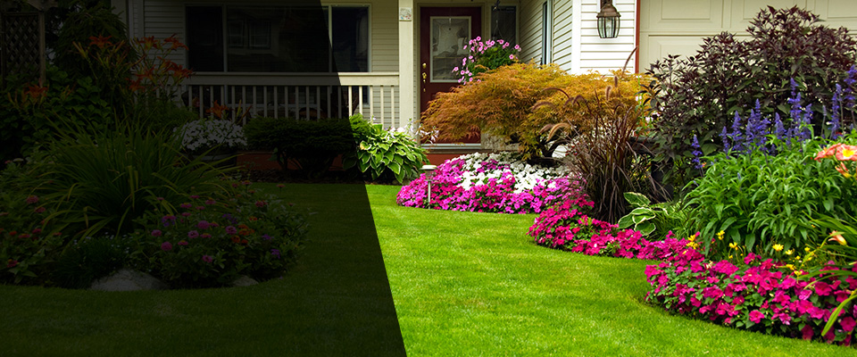 Inver Grove Heights Landscapers