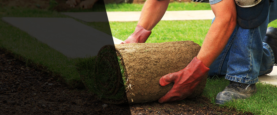 Inver Grove Heights Landscapers